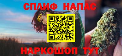 ешки Можга