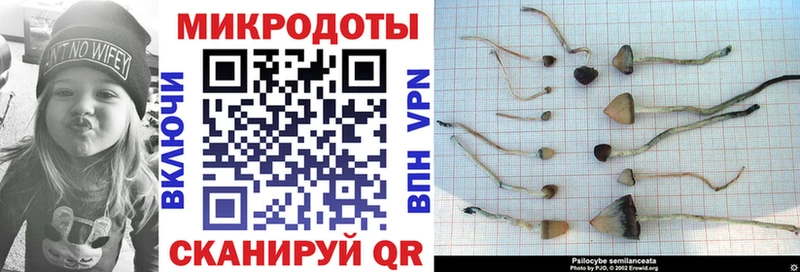 гидра ссылки как найти наркотики Гудермес Псилоцибиновые грибы GOLDEN TEACHER
