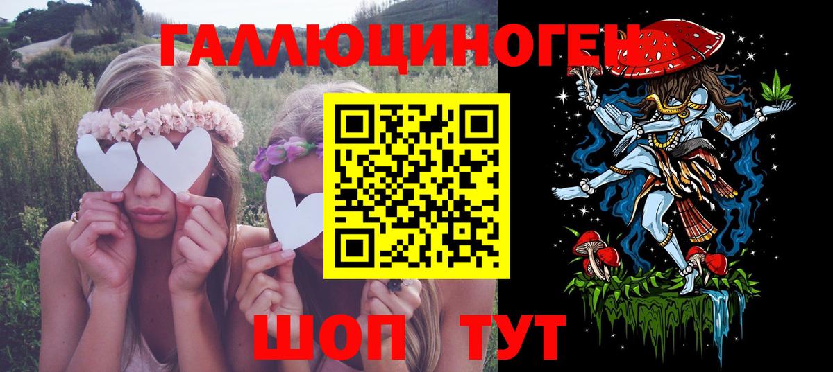 Гудермес  Галлюциногенные грибы MAGIC MUSHROOMS  Вход с VPN 